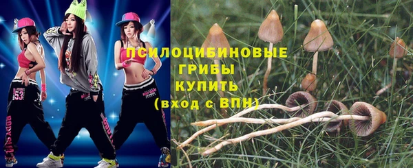 соль ск Елизово